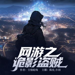 网游之诡影盗贼有声小说