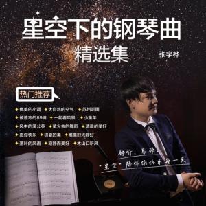 星空下的钢琴曲有声小说