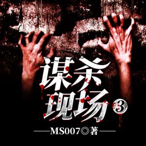 谋杀现场3有声小说