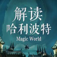 解读《哈利波特》：揭开魔法世界的100个秘密