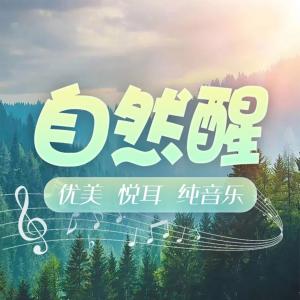 自然醒有声小说