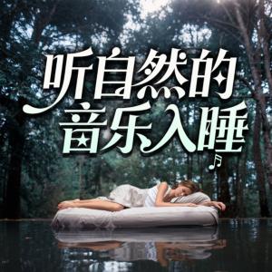 听自然的音乐入睡有声小说