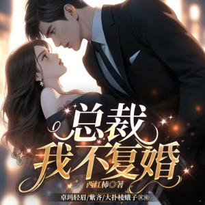 总裁,我不复婚有声小说