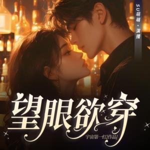 望眼欲穿有声小说