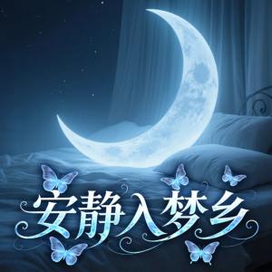 安静入梦乡有声小说