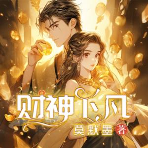 财神下凡有声小说