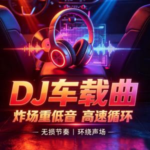 DJ车载曲Ⅲ无损重低音曲库有声小说