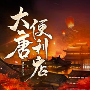 大唐便利店有声小说