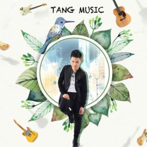 365天音乐减压之旅