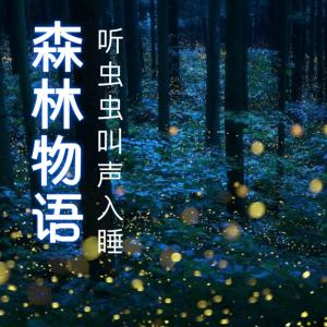听蟋蟀声入睡夏夜虫鸣有声小说