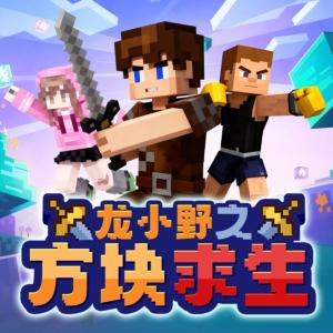 龙小野之方块求生有声小说