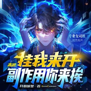 高武：挂我来开，副作用你来挨有声小说