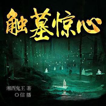 触墓惊心有声小说