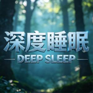 5D阿尔法脑波音乐快速入眠Ⅴ有声小说