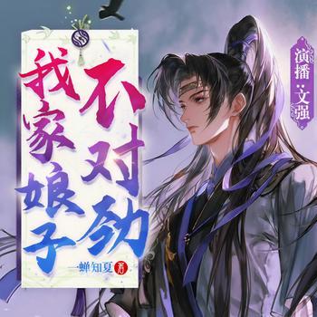 我家娘子不对劲有声小说