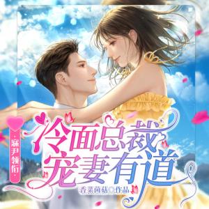 冷面总裁宠妻有道有声小说
