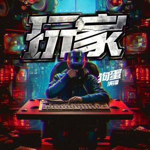 玩家有声小说
