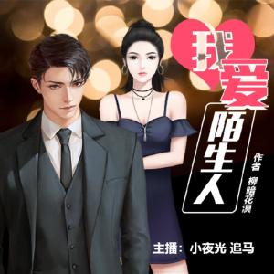 我爱陌生人有声小说