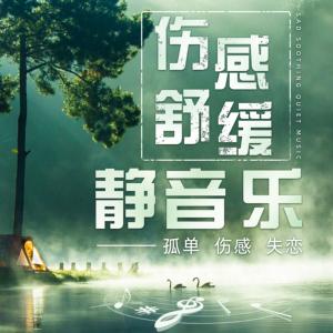夜里适合一个人听的音乐有声小说
