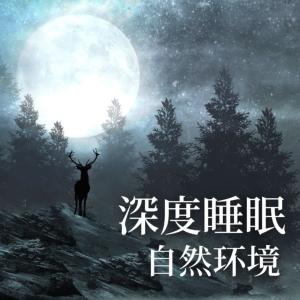深度睡眠自然环境-森林水声鸟声,夜间冥想音乐有声小说