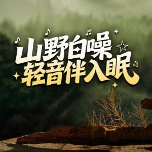 山野白噪轻音伴入眠有声小说