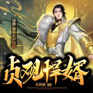 贞观悍婿有声小说