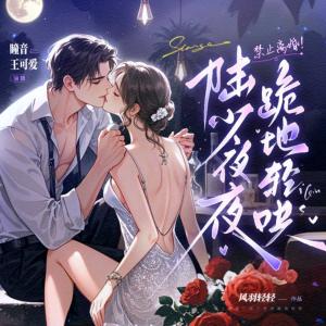 陆少夜夜跪地轻哄有声小说