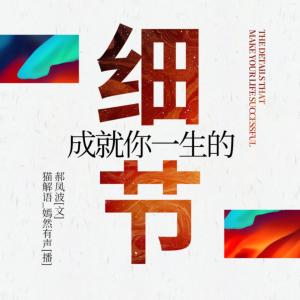 细节成就一生有声小说