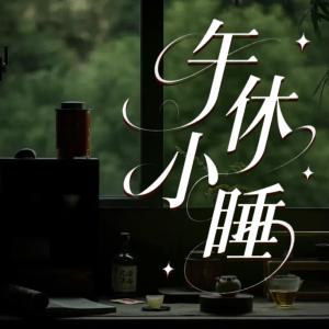 午休小睡有声小说