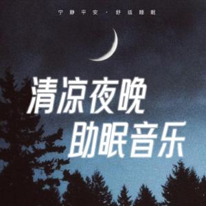 清凉夜晚助眠音乐有声小说