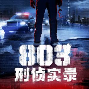 803刑侦实录有声小说