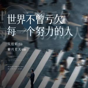 世界不曾亏欠每一个努力的人有声小说