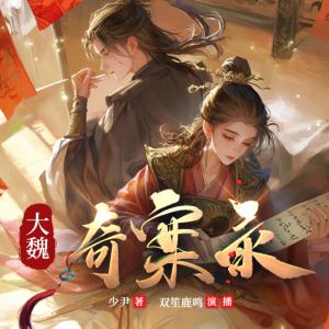 大魏奇案录有声小说