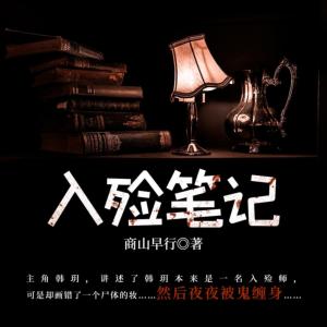 入殓笔记有声小说