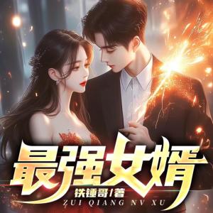 最强女婿有声小说