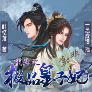 重生之极品皇子妃有声小说