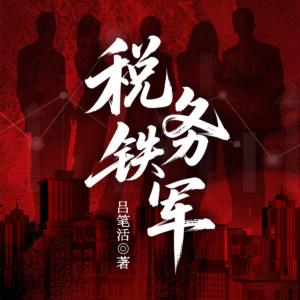 税务铁军有声小说