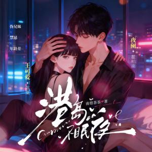 港岛不眠夜有声小说