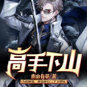 高手下山:开局被送婚书有声小说