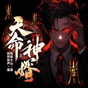 天命神婿