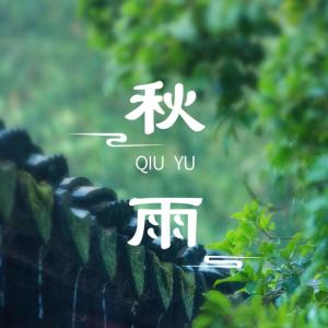 秋雨雨声催眠大自然的声音白噪音有声小说