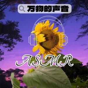 极致放松聆听万物的声音解压治愈ASMR有声小说
