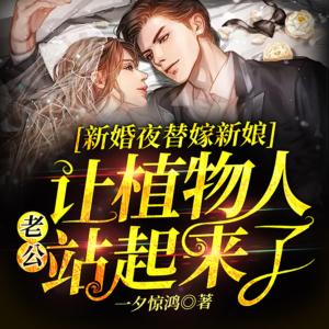 新婚夜替嫁新娘让植物人老公站起来了有声小说