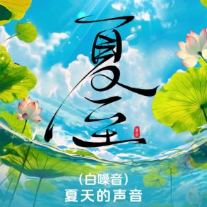 夏至夏天的声音助眠放松