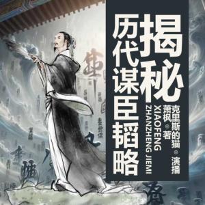 历代谋臣韬略揭秘有声小说