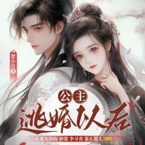 公主逃婚以后有声小说