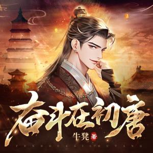 奋斗在初唐有声小说