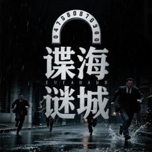 谍海迷城有声小说