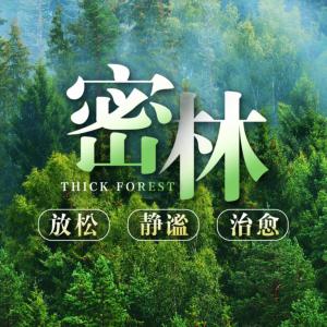 密林助眠音乐30首有声小说