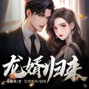 龙婿归来有声小说
